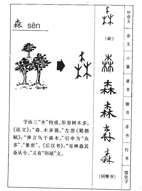 森五行|【森字五行】森字五行是什麼？康熙字典解釋、筆畫、部首、原圖。